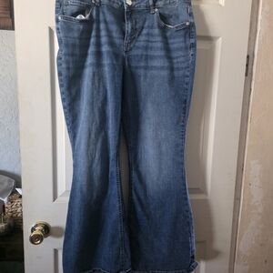 Maurices Flare Leg Blue Jeans